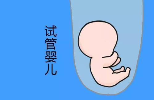 同性借卵代怀服务收费标准